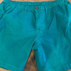 Chubbies mens XXL casual shorts in teal